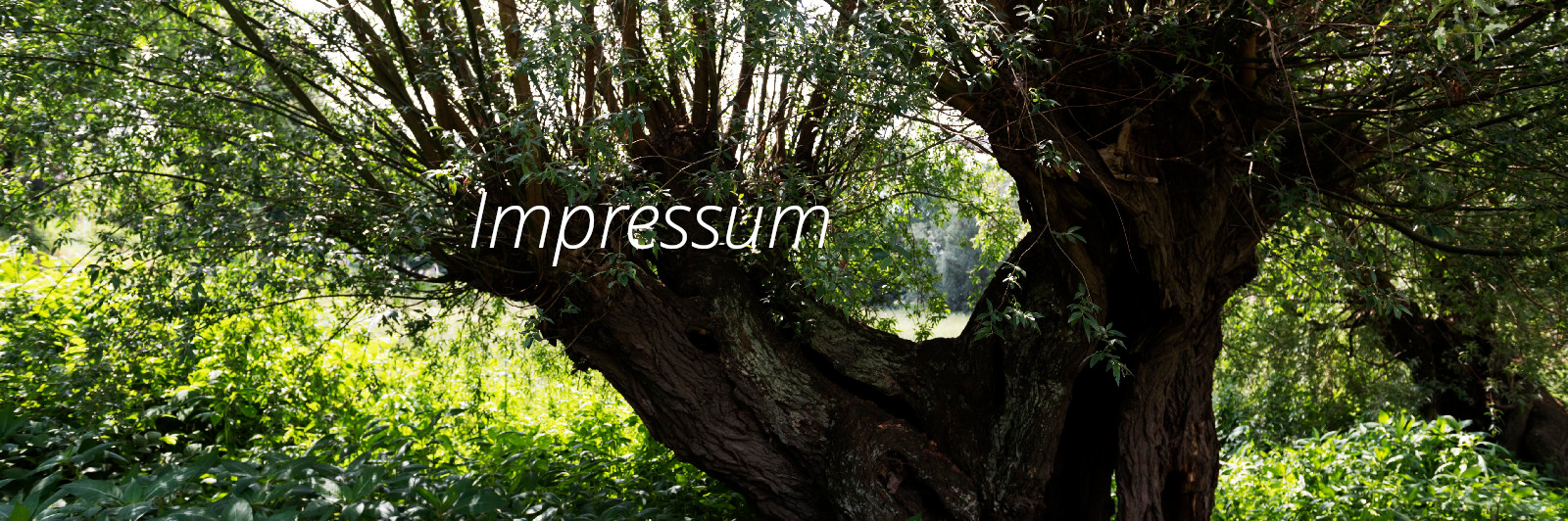 Impressum